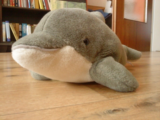 Jennifer Luisa McClarrie Azalehe