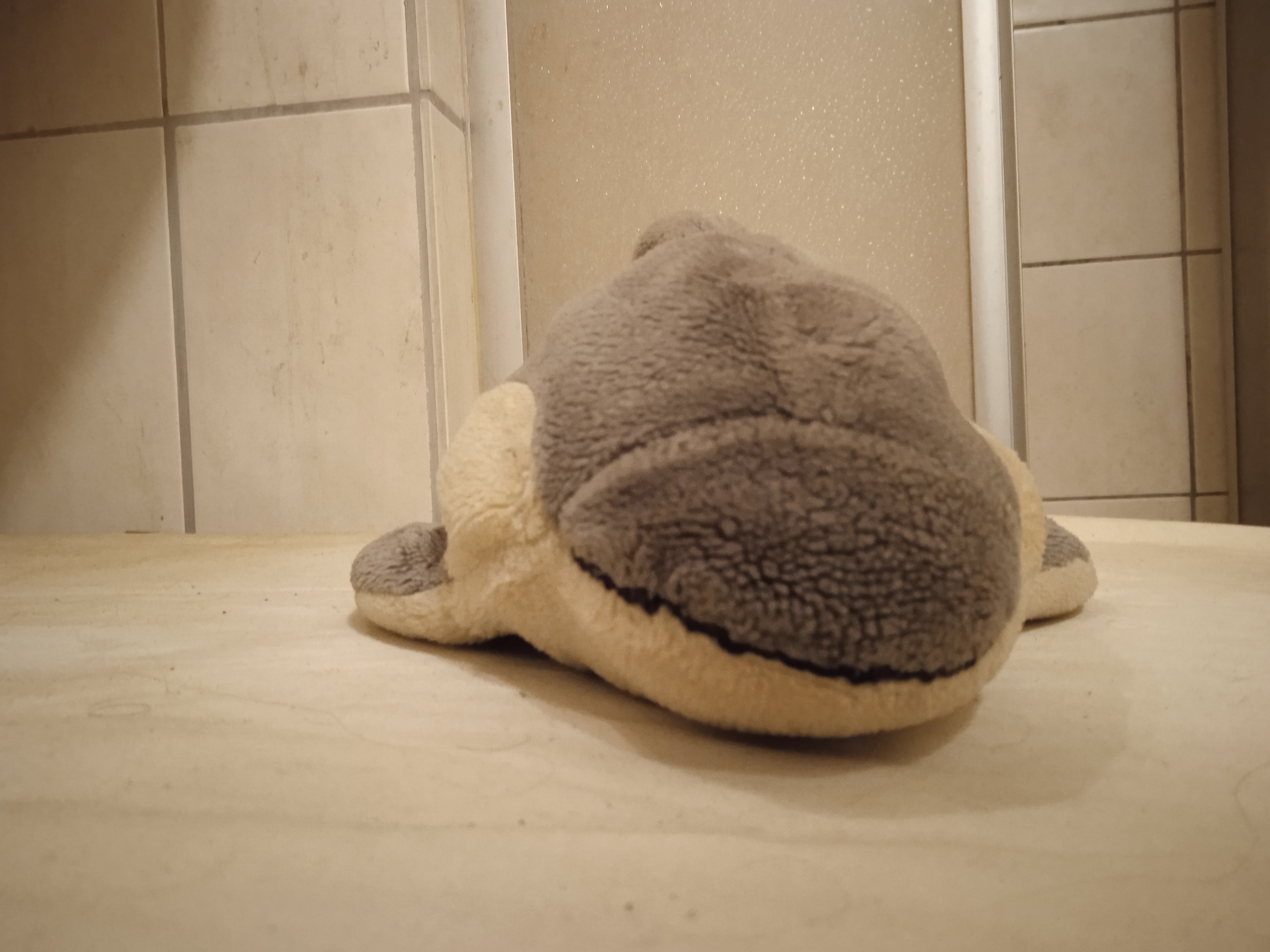 Delpchinssi Dilphins