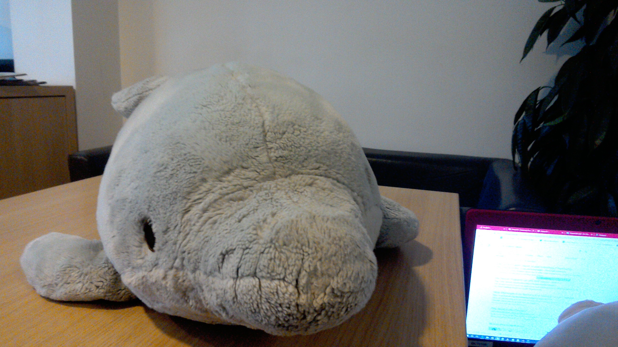 Dörte Elisabeth Sievert