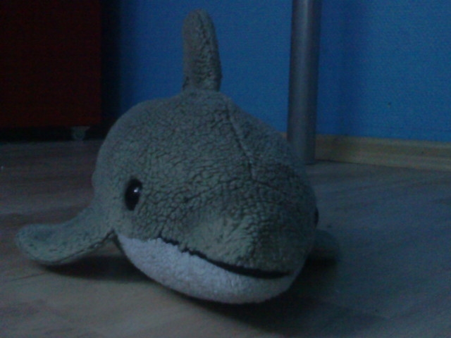 Flipper und Lopaka Azalehe